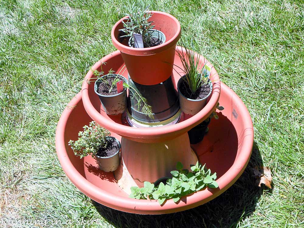 Photo showing how to put the herbs in the pot.