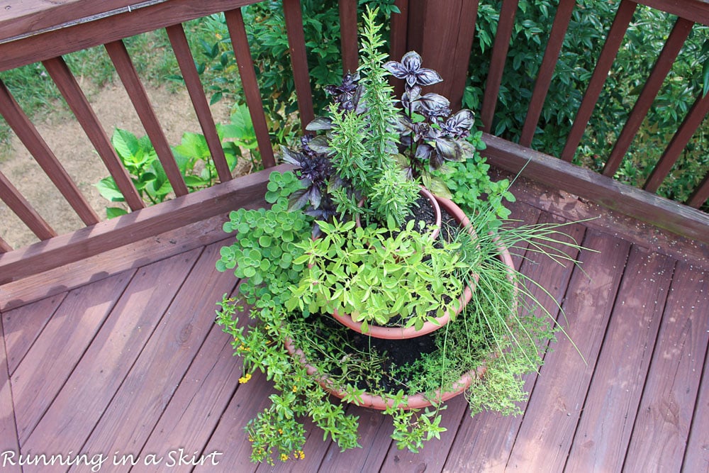 Overhead shot of Herb Tower Garden.