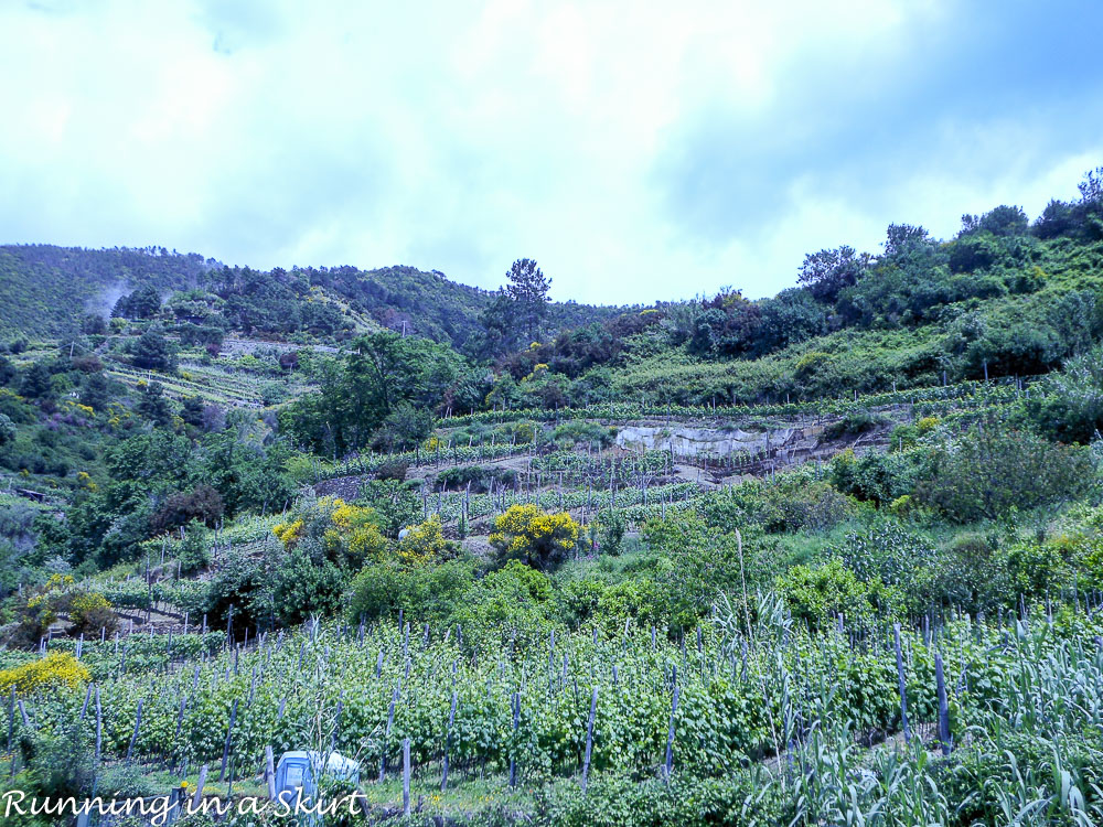 Cinque Terre in May - 2 Days in Cinque Terre- What to see, do, eat & drink! / Running in a Skirt