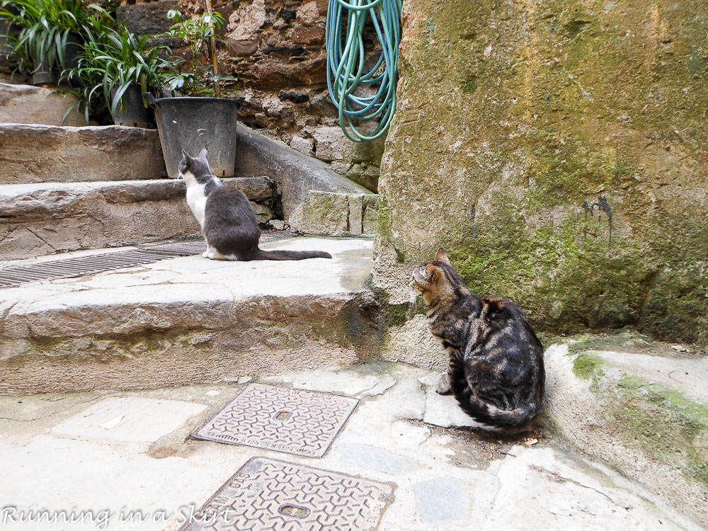 Cinque Terre in May - 2 Days in Cinque Terre- What to see, do, eat & drink! / Running in a Skirt