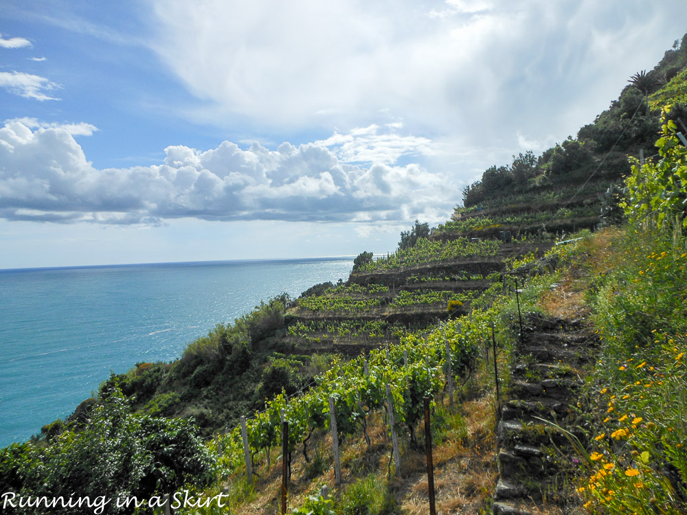 Cinque Terre in May - 2 Days in Cinque Terre- What to see, do, eat & drink! / Running in a Skirt