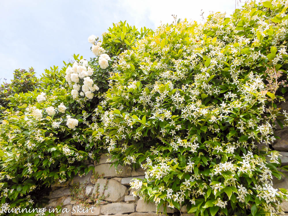 Touring the Tuscan Hill Towns by car. Where to go, and what to do, see & eat! / Running in a Skirt