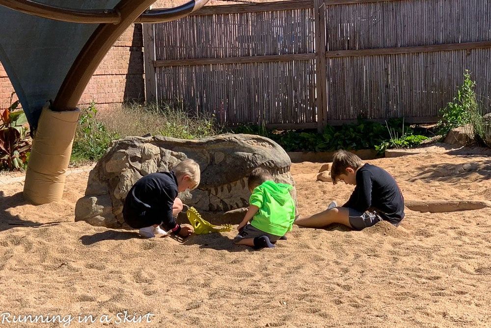 Riverbanks Zoo Columbia SC - Columbia Zoo Dino Dig