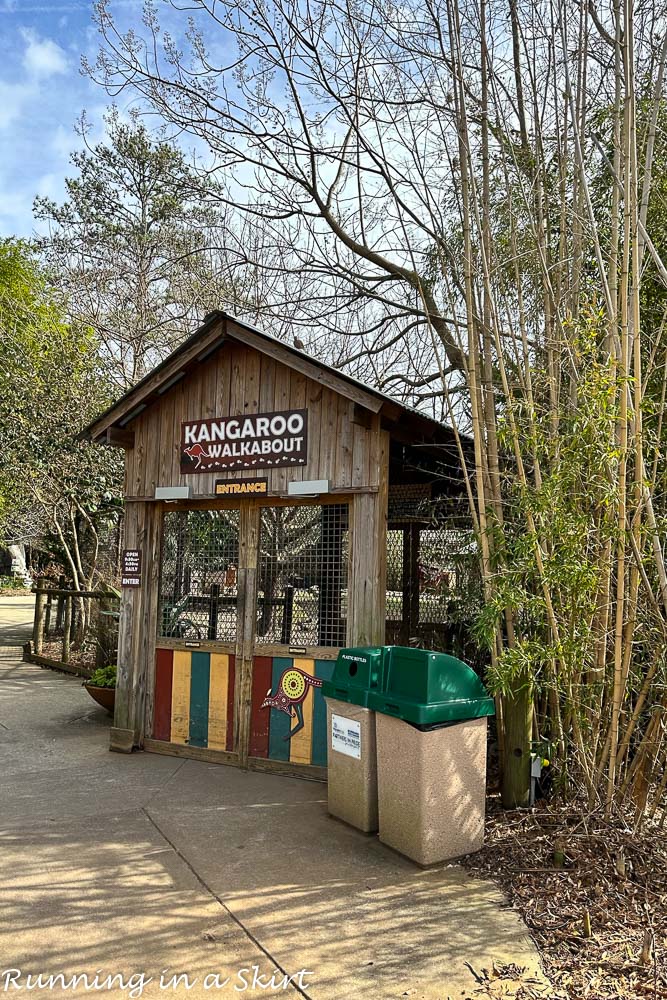 Riverbanks Zoo Columbia SC - Columbia Zoo Kangaroo Walkabout