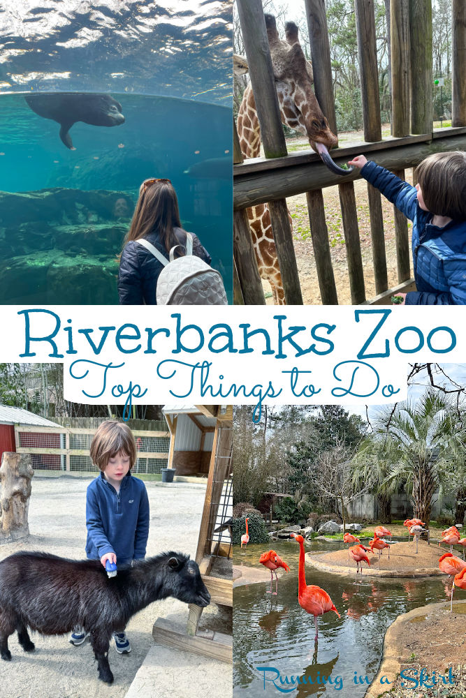 Riverbanks Zoo and Gardens Travel Guide via @juliewunder