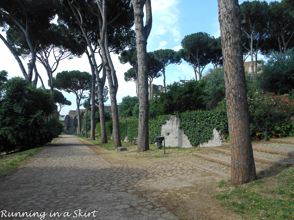 Italy Travel Blog - Two 2 Days in Rome... what to see, do & eat.. how to do it all! / Running in a Skirt