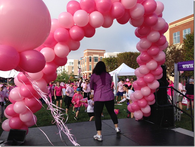 pinkinthepark7
