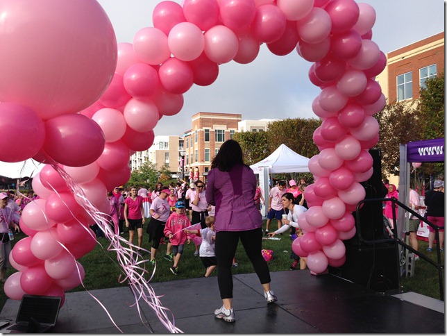 pinkinthepark7