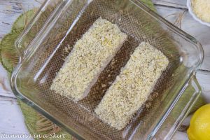 Parmesan Crusted Halibut before baking.