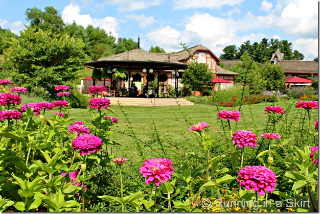 Antler_Hill_Village_Music
