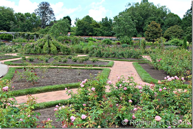 Bilmore_Gardens_July