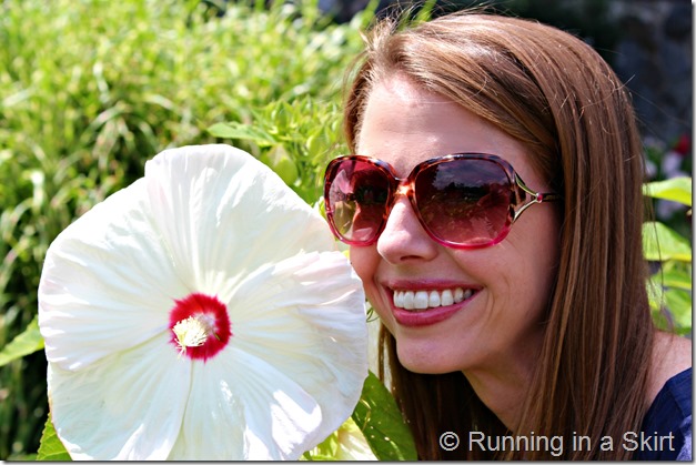 Biltmore_Huge_Flower