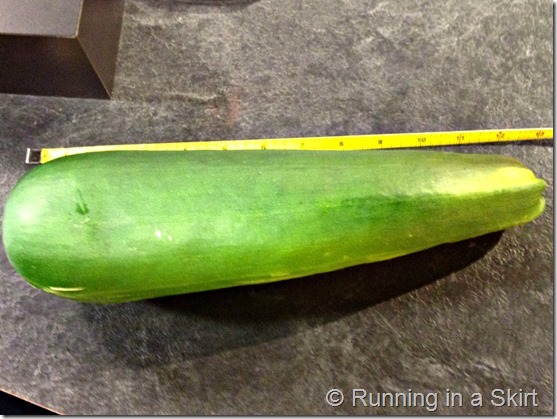 giant_zucchini_2