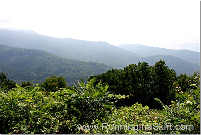 Tanbark_bridge_overlook