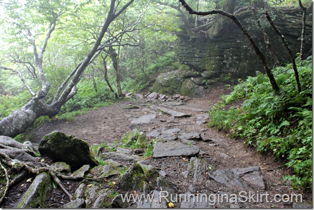 craggy_pinacle_trail_3