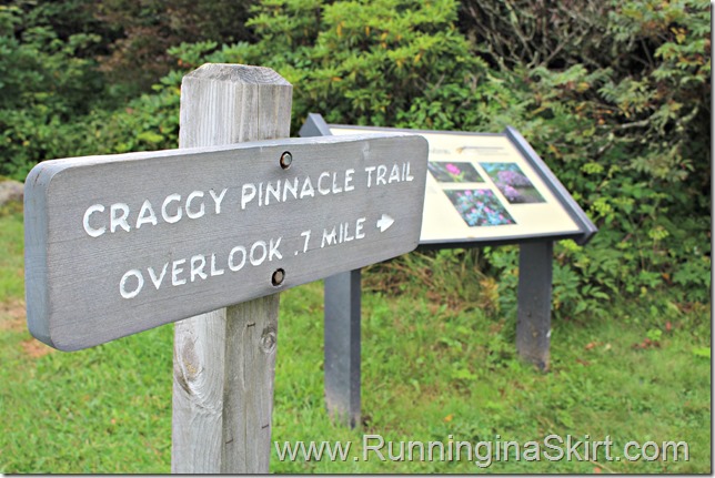 craggy_pincacle_sign