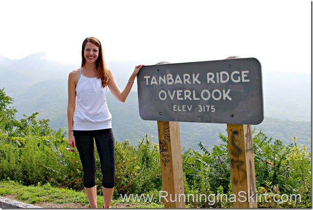 tanbark_brige_overlook_julie