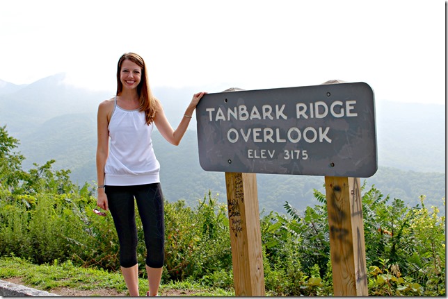 tanbark_brige_overlook_julie