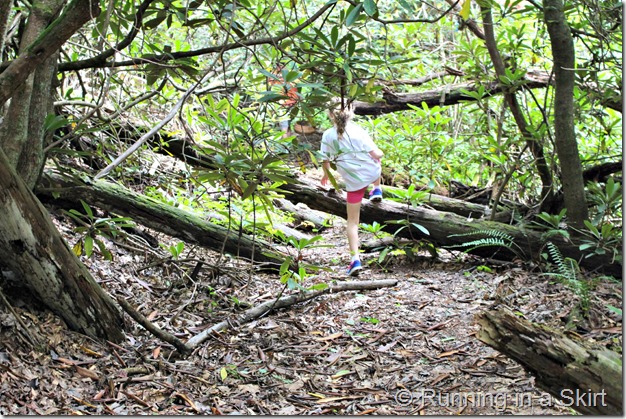 mushroom_hunting_asheville