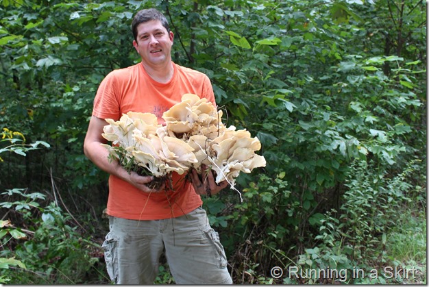 mushroom_hunting_hen_of_the_woods