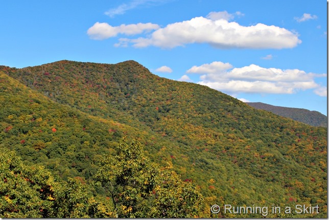 Blue Ridge Parkway in the fall- so stunning!