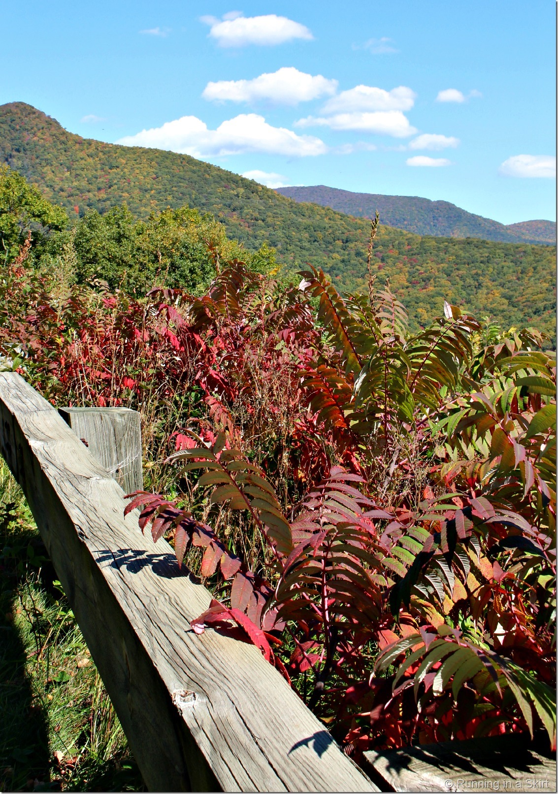 Blue Ridge Parkway Fall