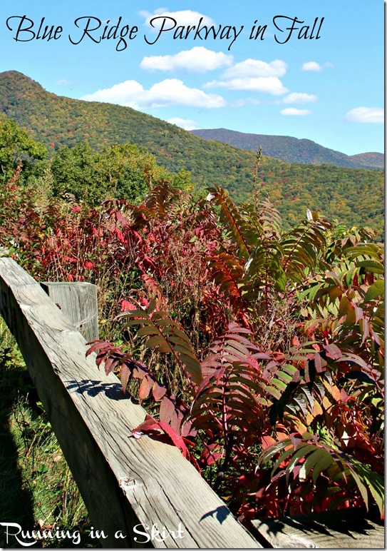 Blue Ridge Parkway Fall!  So gorgeous!