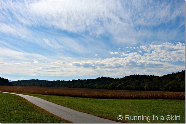 biltmore-estate-fall-running-fall