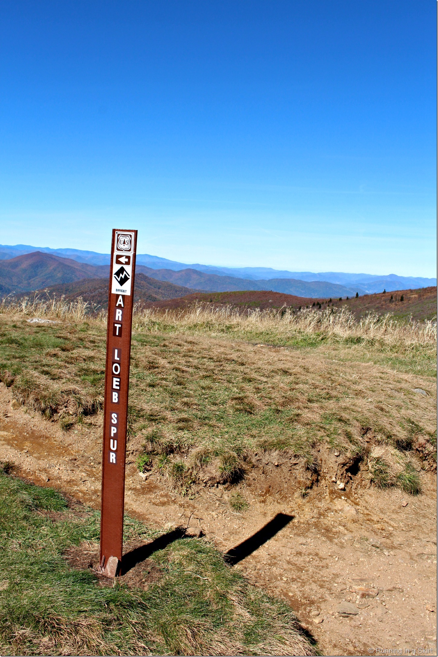 black-balsam-hike-5