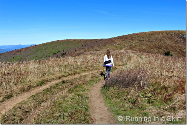 black-balsam-hike-6