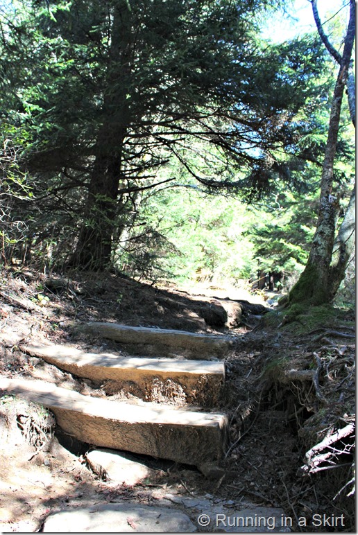 black-balsam-hike-trail