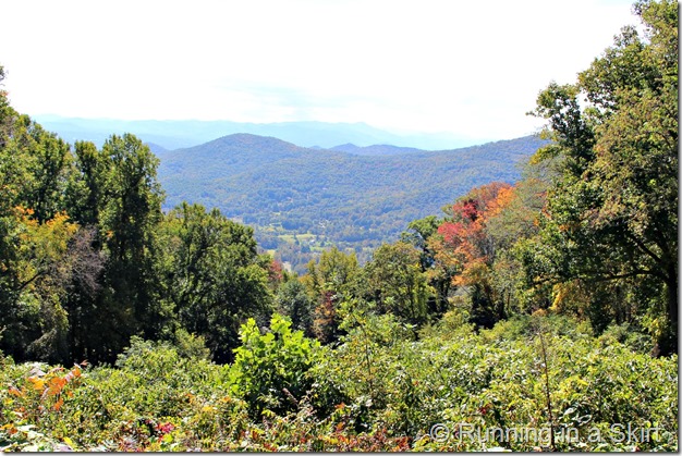 Blue Ridge Parkway Fall