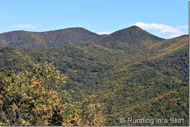 blue-ridge-parkway-fall-5