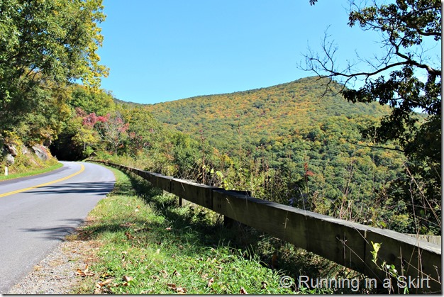 Blue Ridge Parkway fall