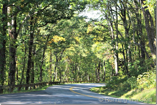 Blue Ridge Parkway Fall