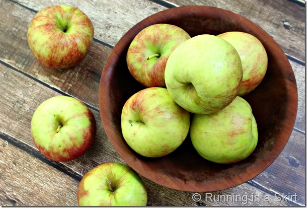 rustic_apple_tart-apples