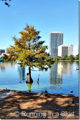 lake eola