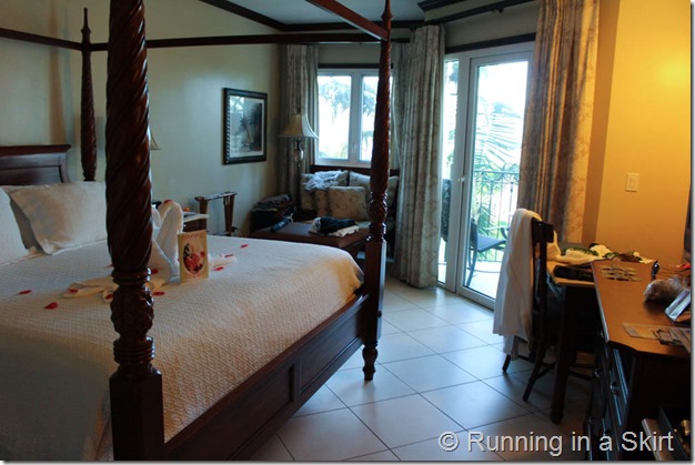 Antigua Tours-300-2