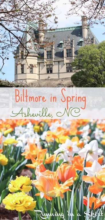 Biltmore Estate Gardens in spring! Stunning daffodils and tulips!/ Running in a Skirt