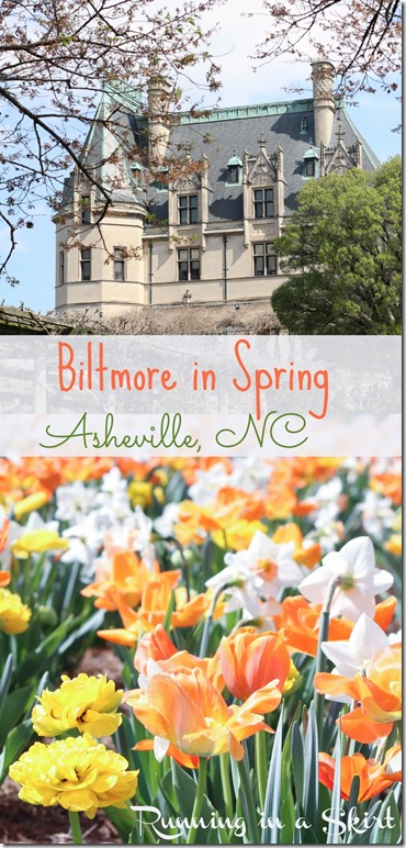 Visiting the Biltmore in Spring is the perfect time to catch the flowers bloom!  The Biltmore Tulips are spectacular!