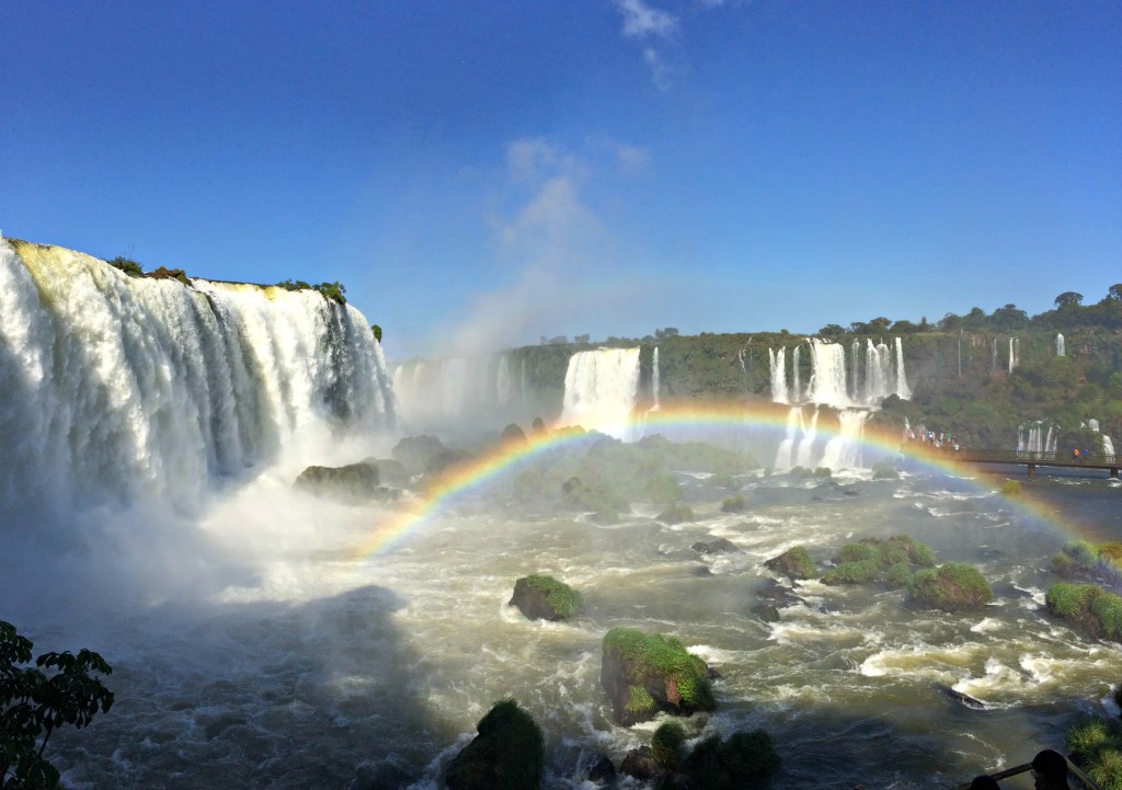 igauzu waterfall cell pic