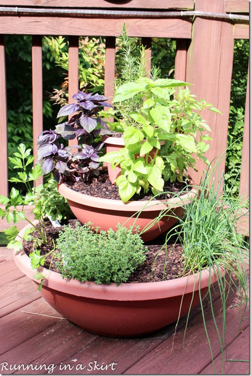 herb tower on deck/ Running in a Skirt