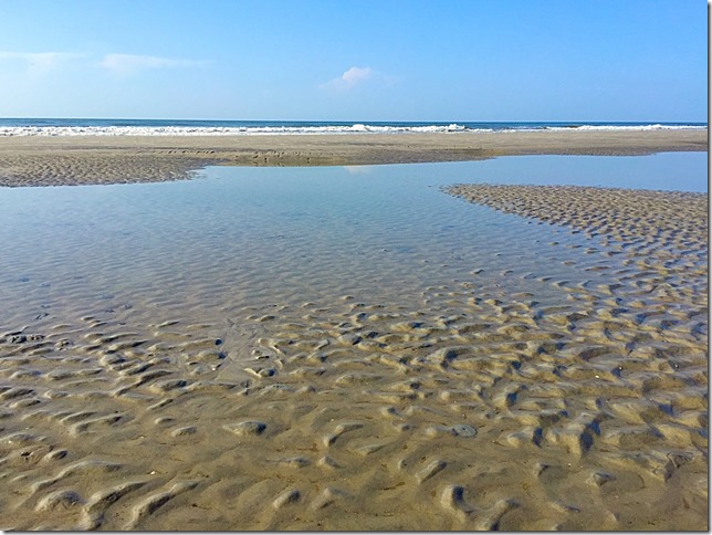 Hilton Head Island Tidal Pools