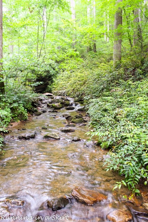 Path leading to Moore Cove Falls.