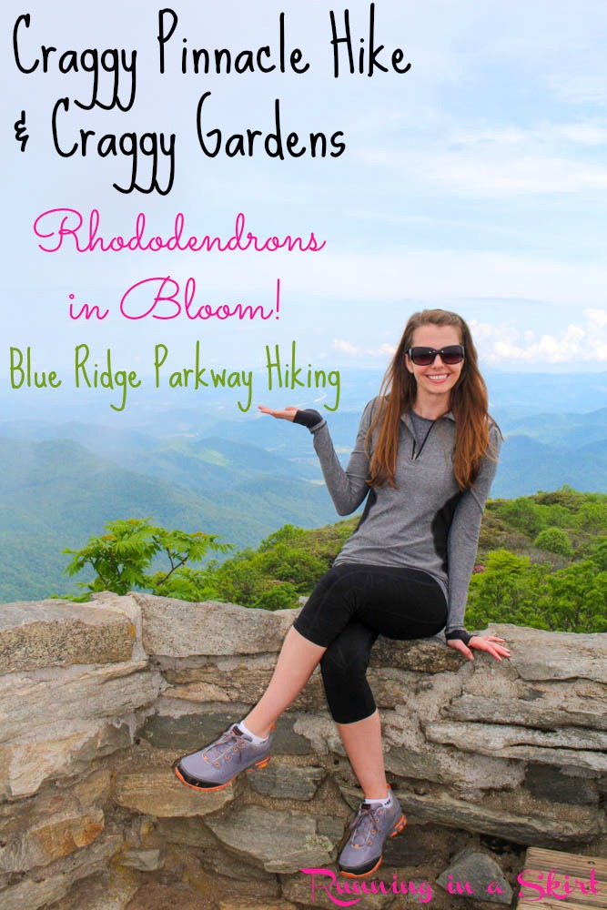 craggy gardens hike pin