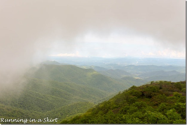 craggy gardens hike-153-13