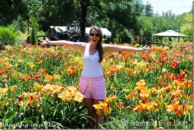 Blue Ridge Day Lilly Farm-13-3