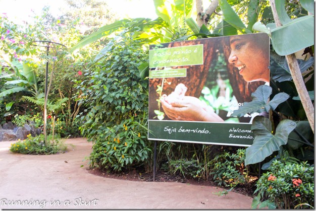 Parque das Aves - Iguazu Bird Park