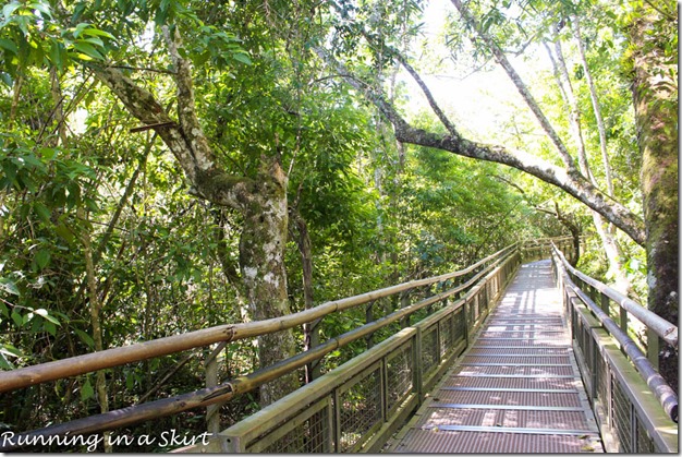 Iguazu Falls- Argentina Side, Upper Trail