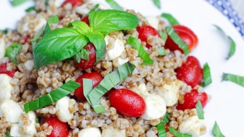 Caprese Wheat Berry Salad recipe